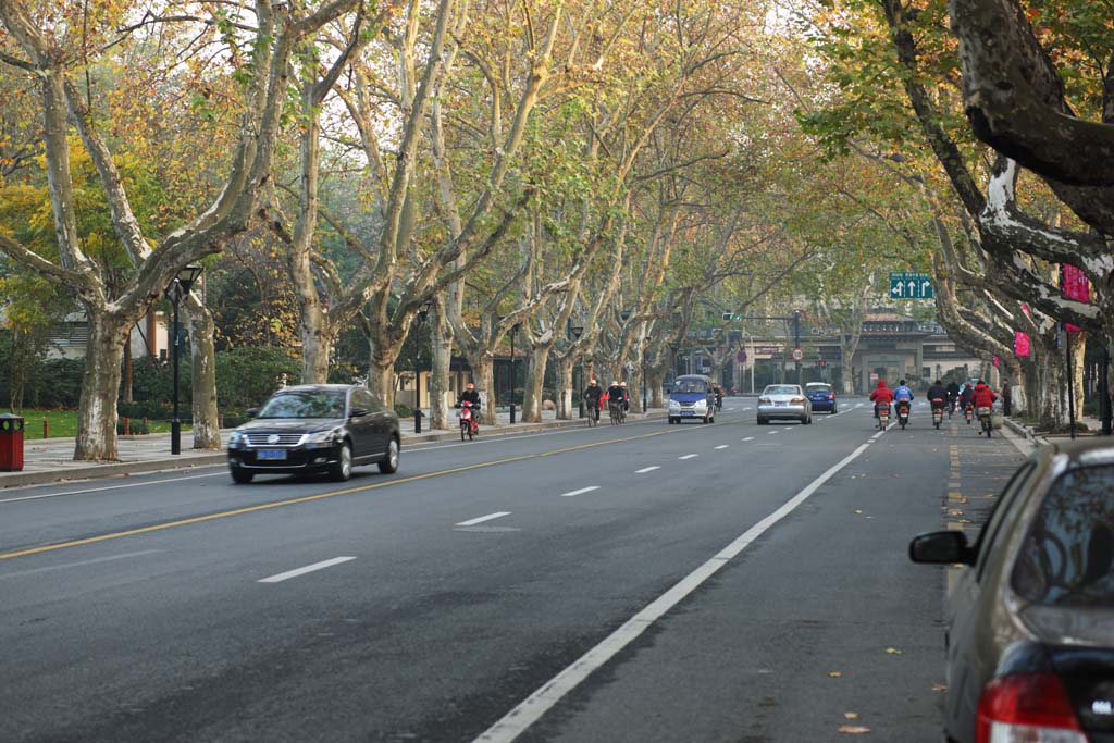 foto,tela,gratis,paisaje,fotografa,idea,Hilera de casas a lo largo de una calle de ciudad de Hangzhou, rbol de avin, Camino, Automvil, Calle