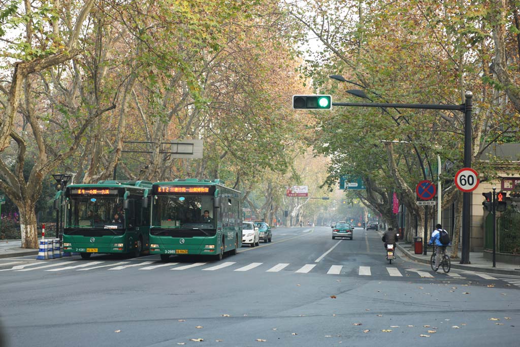 Foto, materieel, vrij, landschap, schilderstuk, bevoorraden foto,Rij van huizen mee een stad straat van Hangzhou, Schaaf boom, Straat, Auto, 