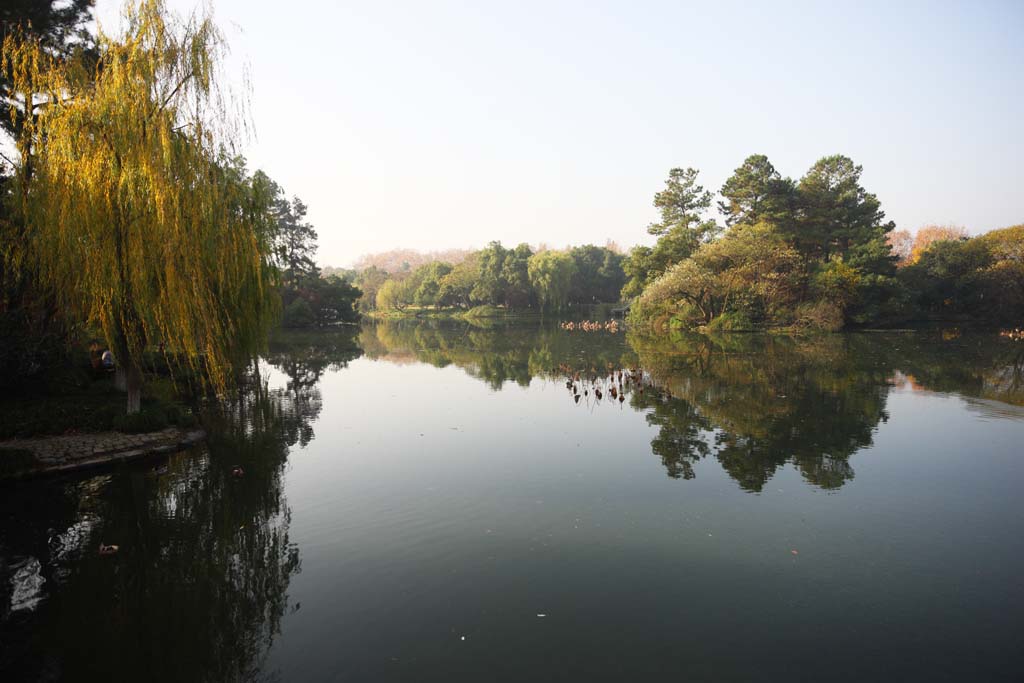 photo, la matire, libre, amnage, dcrivez, photo de la rserve,Une Maison de musique-comme charge, pont, lotus, surface d'un lac, saule