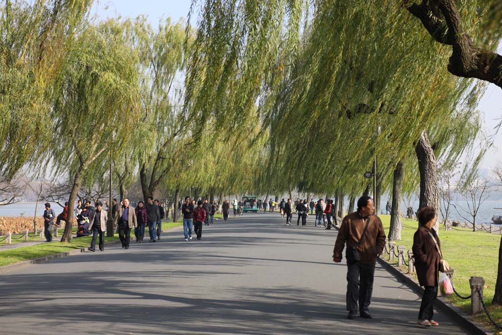 photo,material,free,landscape,picture,stock photo,Creative Commons,A white bank, willow, surface of a lake, walk, sight-seeing bus