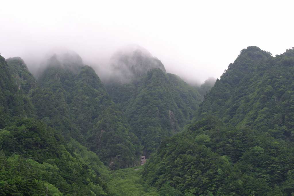 foto,tela,gratis,paisaje,fotografa,idea,Niebla en la alta montaa., Niebla, Neblina, Nube, Montaa