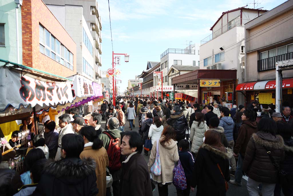 Foto, materieel, vrij, landschap, schilderstuk, bevoorraden foto,Kawasakidaishi, Nieuw bezoek van Jaar naar een Shinto heiligdom, Aftakking, Worshiper, Benadering van een heiligdom