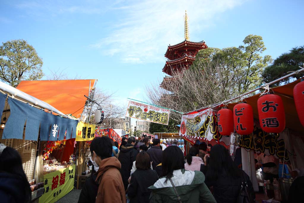 fotografia, materiale, libero il panorama, dipinga, fotografia di scorta,Kawasakidaishi, La visita di anno Nuovo ad un sacrario scintoista, adoratore, ramo, Cinque pagoda di Storeyed ottagonale