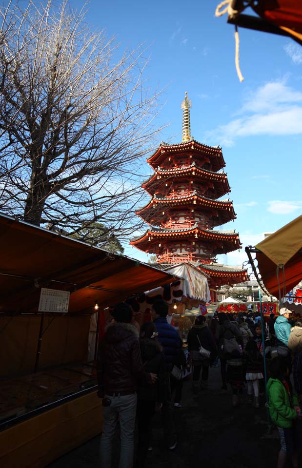 photo,material,free,landscape,picture,stock photo,Creative Commons,Kawasakidaishi, New Year's visit to a Shinto shrine, worshiper, branch, Octagonal Five Storeyed Pagoda