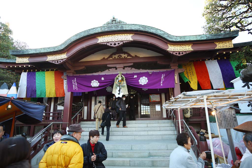 fotografia, materiale, libero il panorama, dipinga, fotografia di scorta,Kawasakidaishi Fudodou, La visita di anno Nuovo ad un sacrario scintoista, Il pino di anno Nuovo e decorazioni di bamb, decorato festone di paglia sacro, tenda di goccia