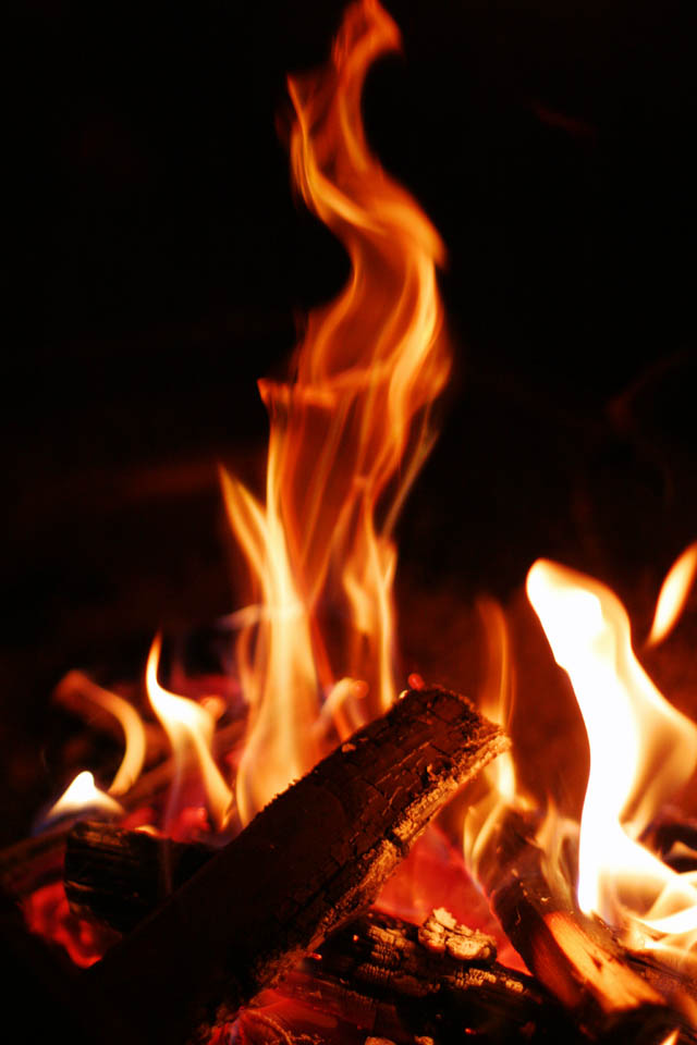 Foto, materiell, befreit, Landschaft, Bild, hat Foto auf Lager,Gebrll der Flammen, Feuer, , Brennholz, das Brennen