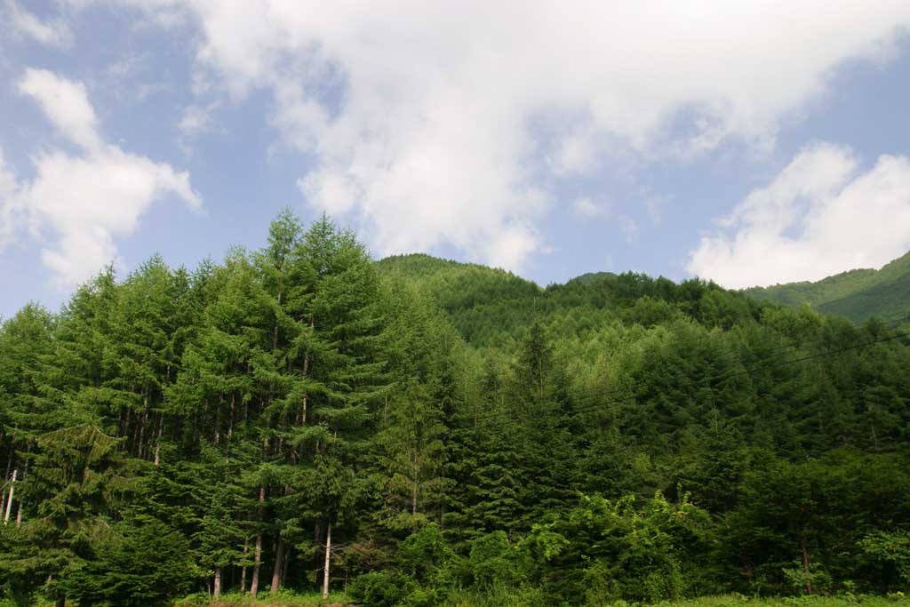 Foto, materieel, vrij, landschap, schilderstuk, bevoorraden foto,Zomer bergen en bewolkt, Berg, Wolk, Blauwe lucht, Gaarde