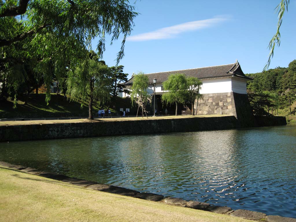 fotografia, materiale, libero il panorama, dipinga, fotografia di scorta,Edo-jo il Castello, fossato, Ishigaki, salice, Sakurada-mon il Cancello