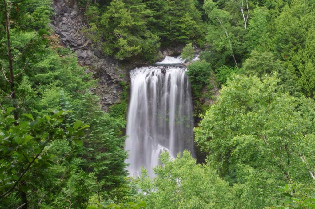 photo,material,free,landscape,picture,stock photo,Creative Commons,Zengoro-no-taki Falls, waterfall, water, river, wood