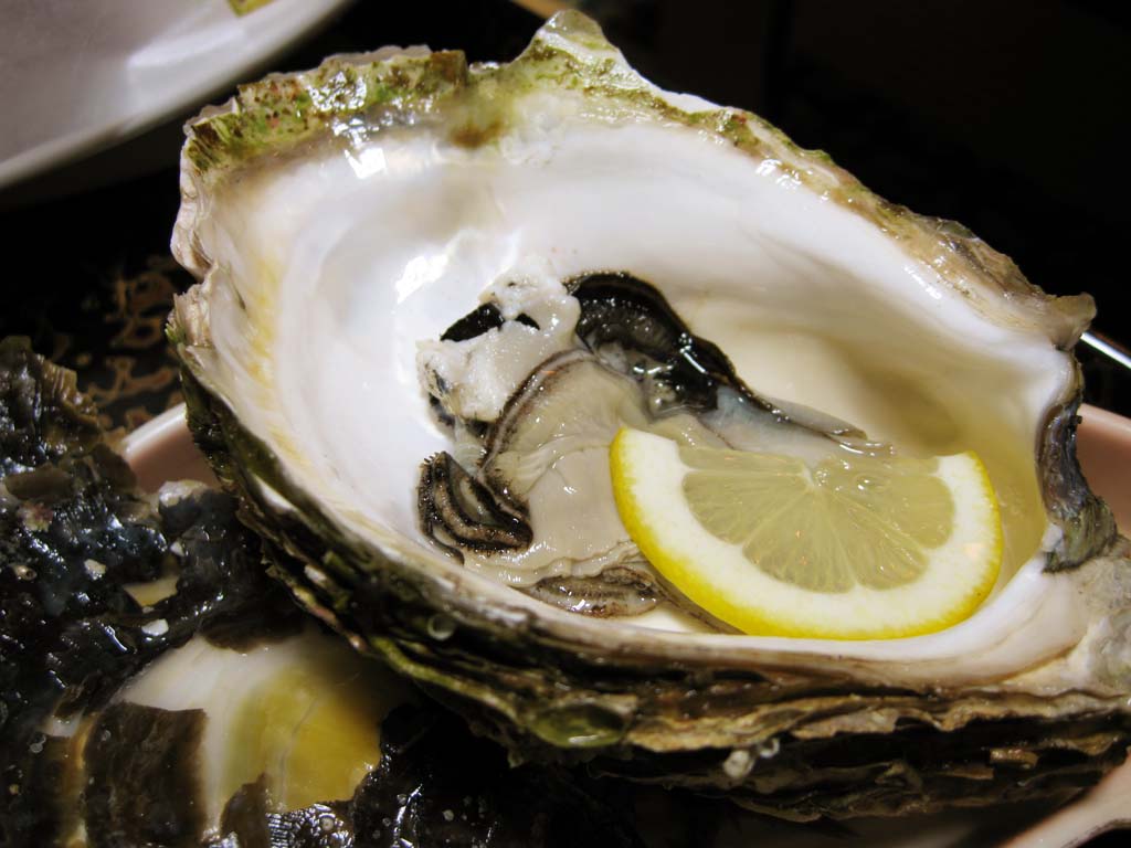 Foto, materieel, vrij, landschap, schilderstuk, bevoorraden foto,Een rechtdoorzee oester, Shellfish, Persimmon, Een oester, Citroen