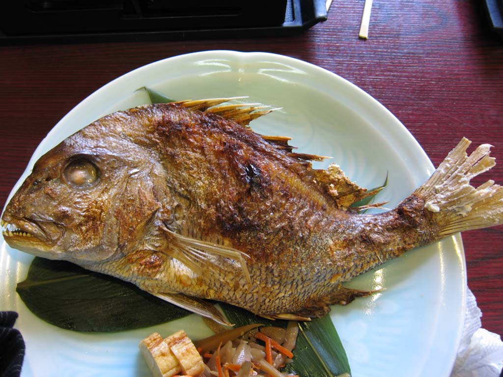 Foto, materiell, befreit, Landschaft, Bild, hat Foto auf Lager,Der grillende Fisch mit Salz des Meeresstachelflosser, roter Schnappbarsch, das Grillen von Fisch mit Salz, Japanisches Essen, Braun