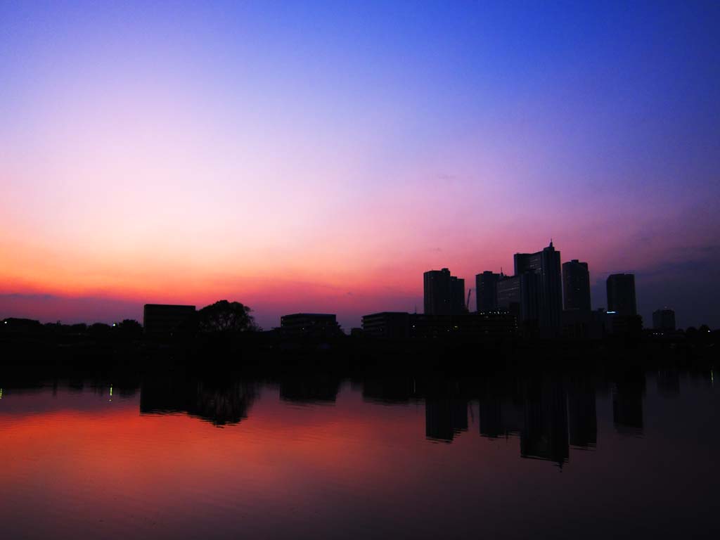 photo,material,free,landscape,picture,stock photo,Creative Commons,Dusk of Musashikosugi, At dark, Tama River, high-rise apartment, The surface of the water