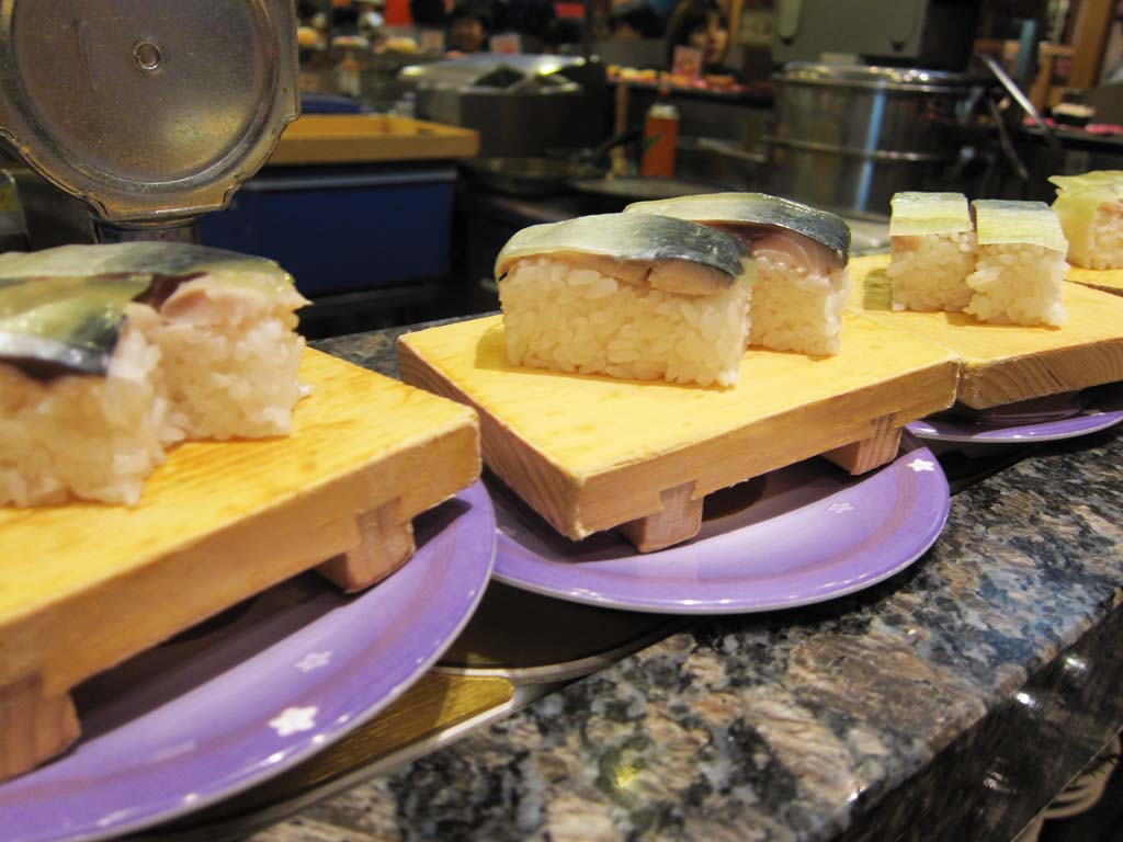 photo,material,free,landscape,picture,stock photo,Creative Commons,Belt-conveyor sushi, Sushi, cut mackerel sprinkled with salt and then pickled in vinegar, Mackerel, Finger sushi