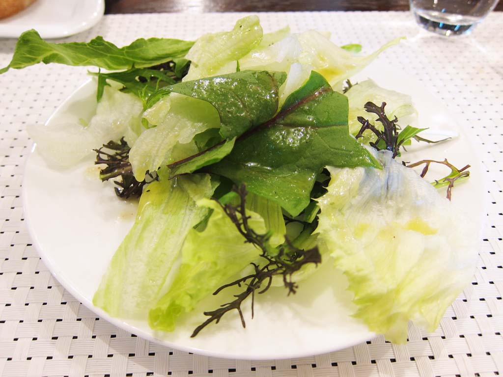 photo,material,free,landscape,picture,stock photo,Creative Commons,Salad, lettuce, Seaweed, Dressing, Salad