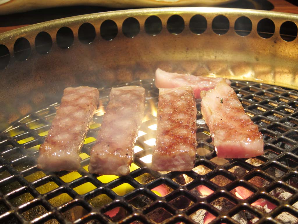 Foto, materiell, befreit, Landschaft, Bild, hat Foto auf Lager,Gebratenes Fleisch, Kohlenfeuerherd, Fleisch, Rindfleisch, Jdisches Rennen