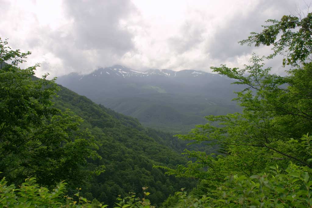 foto,tela,gratis,paisaje,fotografa,idea,Nubes de Norikura, Montaa, Nube, rbol, Verde