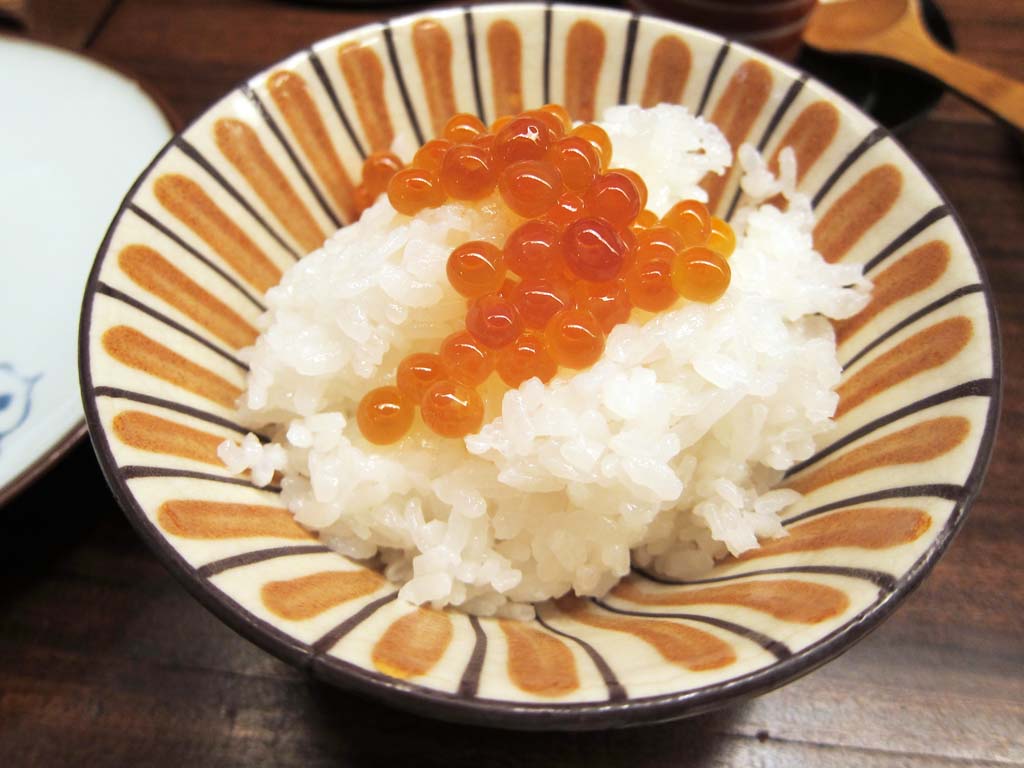 photo, la matire, libre, amnage, dcrivez, photo de la rserve,Riz des oeufs de poisson du saumon, Nourriture japonaise, Combien, saumon, Riz poli