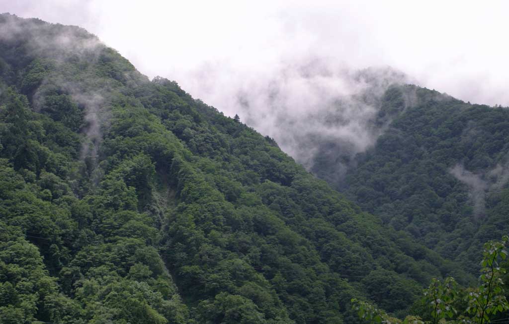 fotografia, materiale, libero il panorama, dipinga, fotografia di scorta,Montagne di estate nebbiose, montagna, nebbia, , 