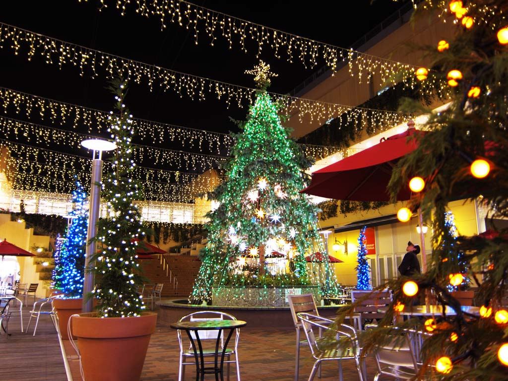 Foto, materiell, befreit, Landschaft, Bild, hat Foto auf Lager,Ein Weihnachtsbaum, Illuminierung, Licht, Leuchtend, Dekoration