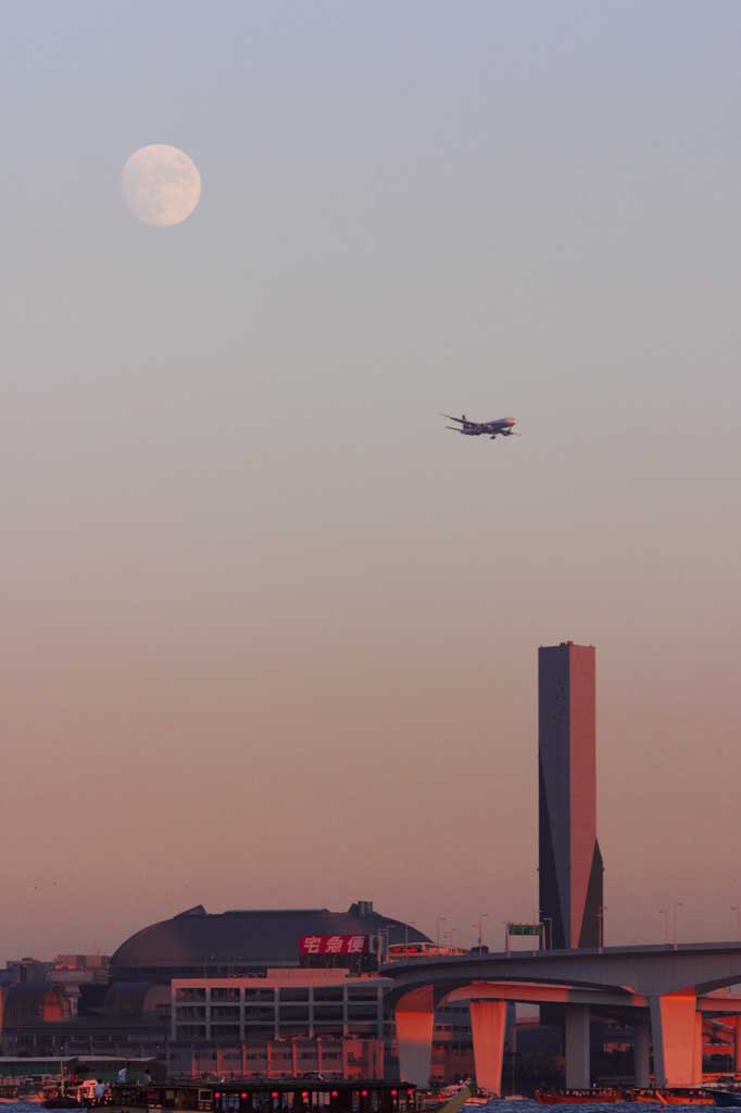 photo,material,free,landscape,picture,stock photo,Creative Commons,Moon and an airplane, airplane, moon, coast of bay, evening twilight