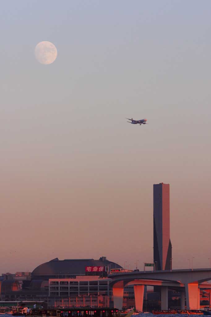 Foto, materieel, vrij, landschap, schilderstuk, bevoorraden foto,Maan en een vliegtuig, Vliegtuig, Maan, Kust van snauwen, Avondschemering