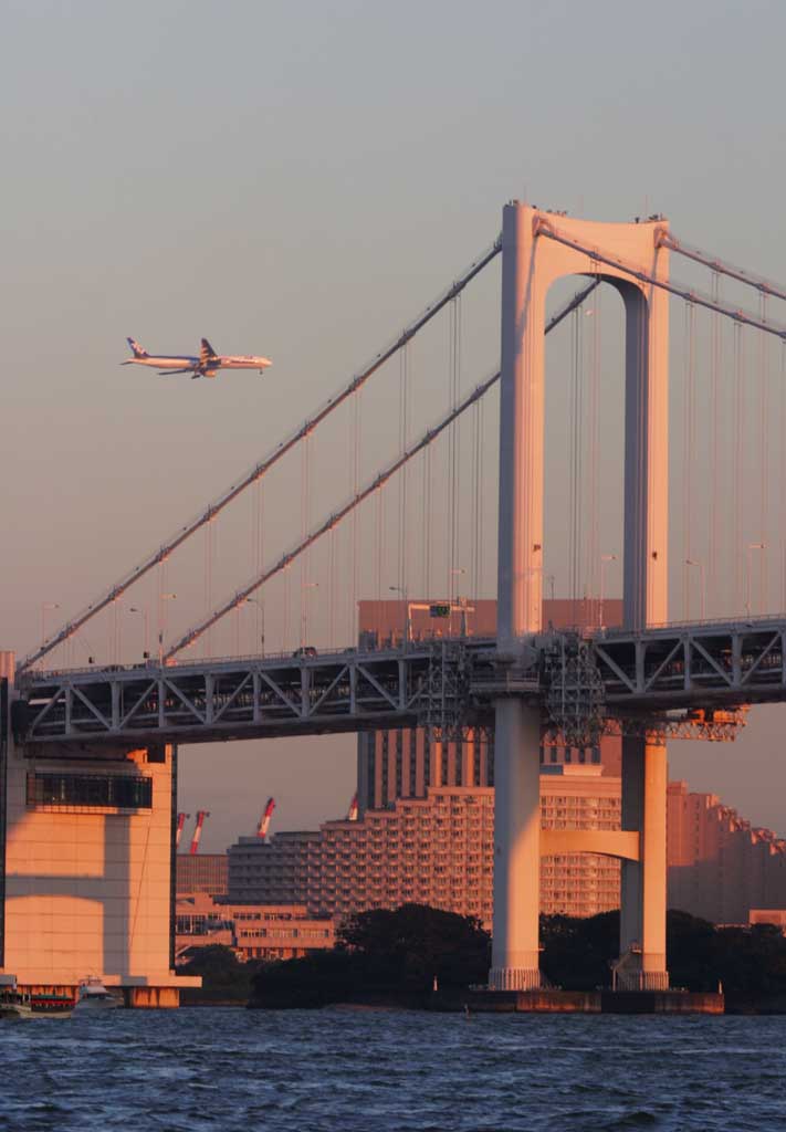 photo,material,free,landscape,picture,stock photo,Creative Commons,Bridge and an airplane, bridge, sea, airplane, evening twilight