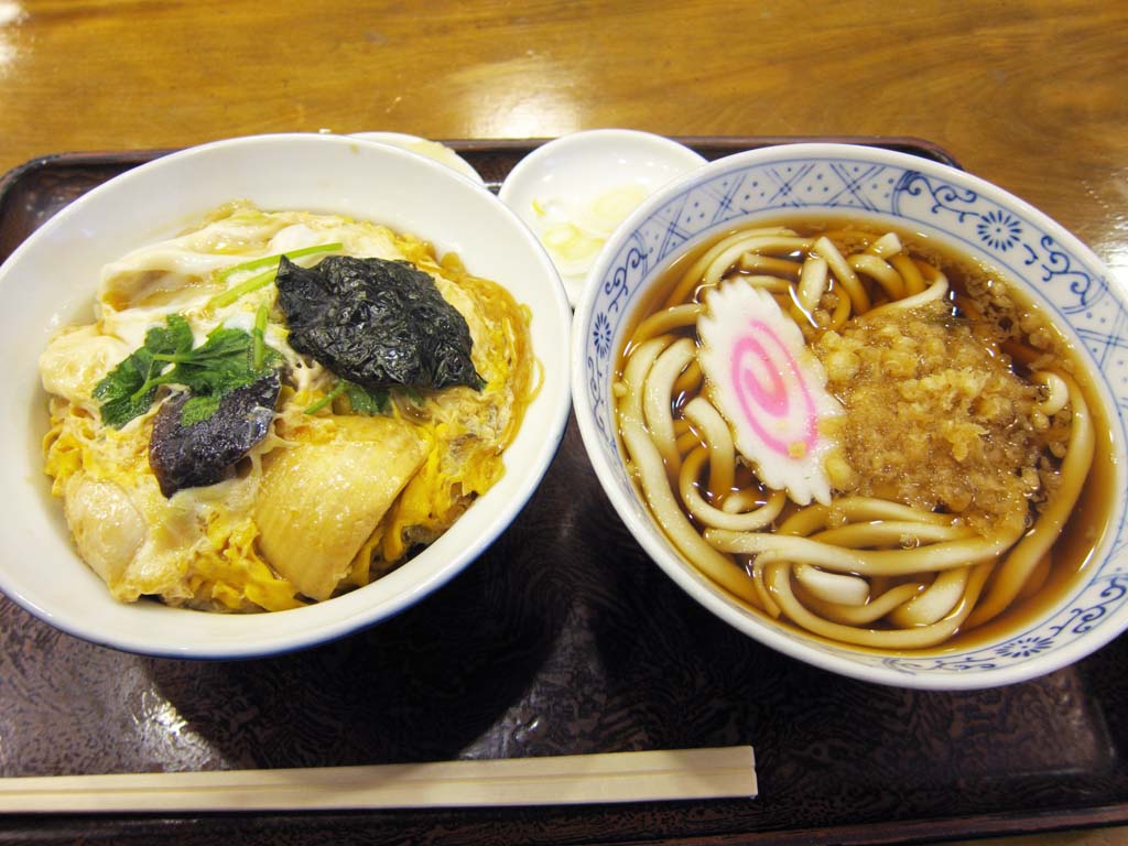 Foto, materiell, befreit, Landschaft, Bild, hat Foto auf Lager,Raccoon verfolgt udon, und eine Schssel von Reis bedeckte mit Huhn und Eiern, Kche, Essen, , 