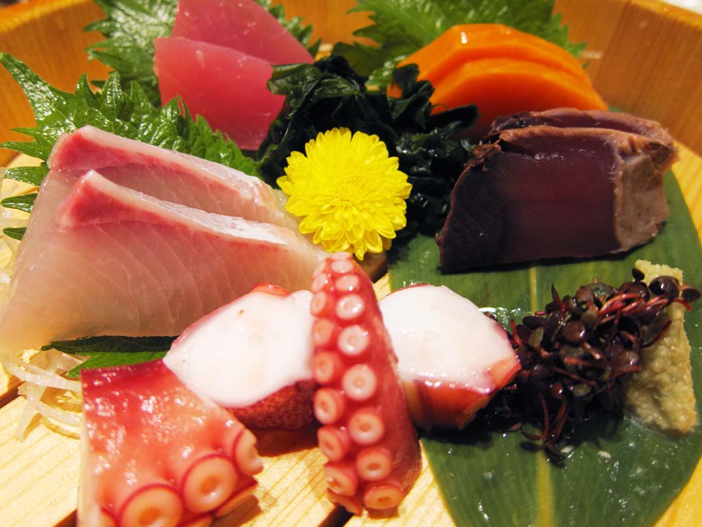 ,,, ,,,Sashimi., ., ., , 