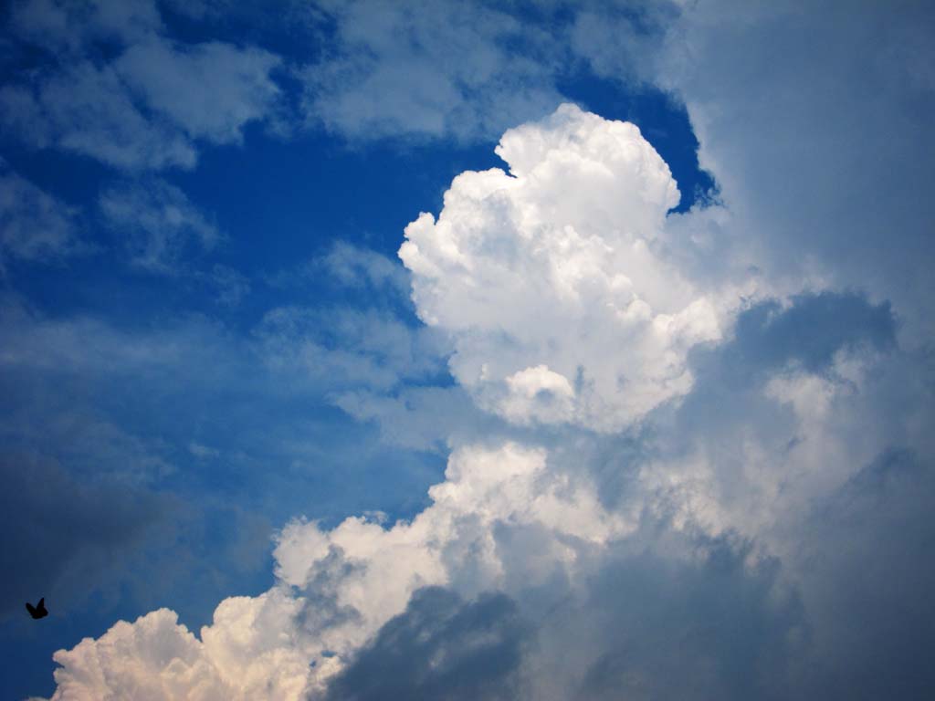 fotografia, materiale, libero il panorama, dipinga, fotografia di scorta,Una nube di tuono, nube, doccia, , 