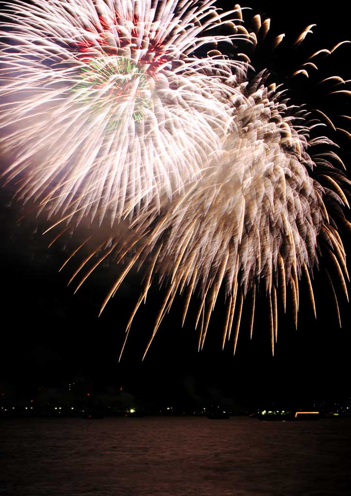 fotografia, material, livra, ajardine, imagine, proveja fotografia,As asas de anjo, fogo de artifcio, noite, lanamento, um-p bola de fogo de artifcio