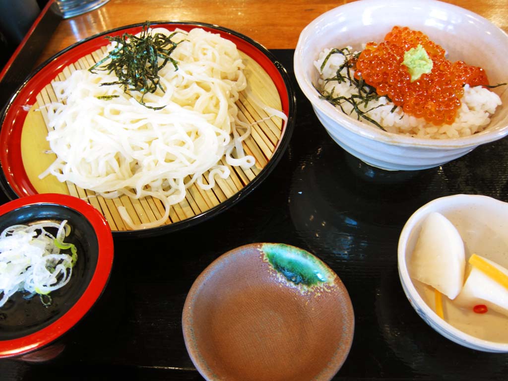 fotografia, materiale, libero il panorama, dipinga, fotografia di scorta,Coli udon e ciotola di uova di pesce di salmone, Cucinando, Cibo, , 