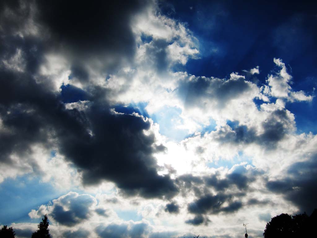 foto,tela,gratis,paisaje,fotografa,idea,Una nube, Nube, Cielo azul, Tiempo, 