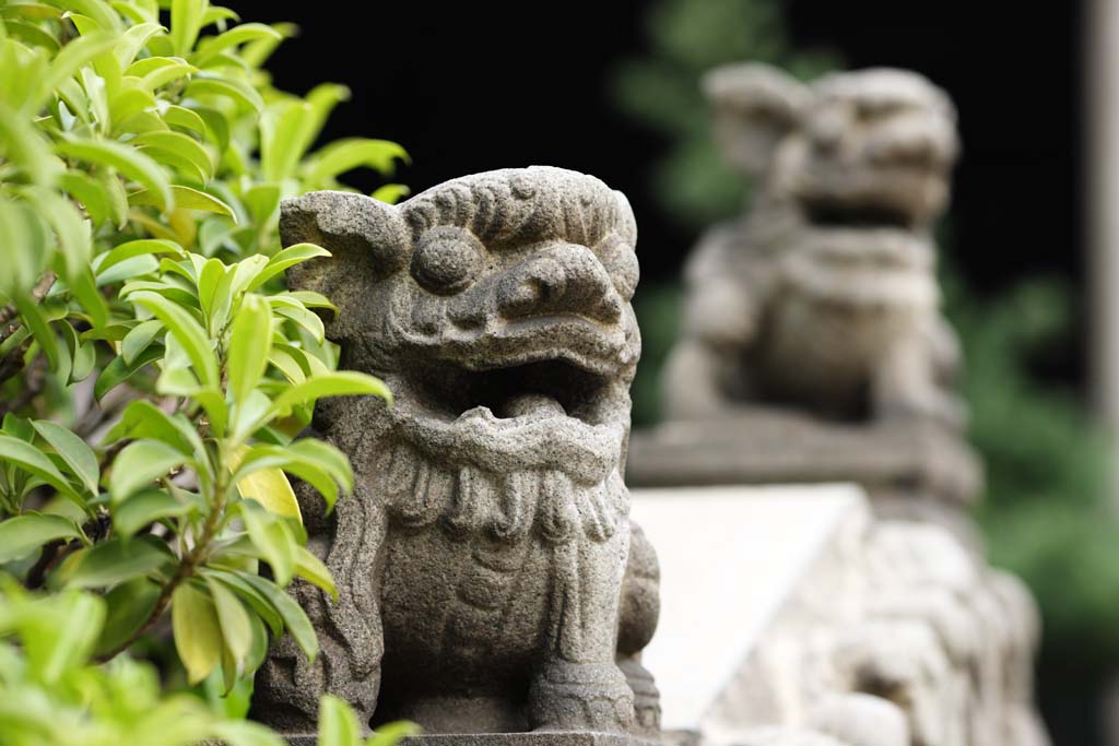 fotografia, materiale, libero il panorama, dipinga, fotografia di scorta,Tempio di clan di Chen, Il cinese edificio di arti industriale e privato, scultura di mattone, meridionale nobile, Decorazione