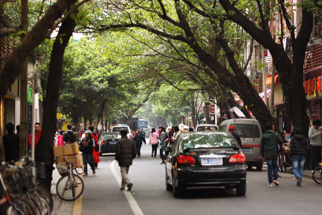 fotografia, materiale, libero il panorama, dipinga, fotografia di scorta,Secondo Guangzhou, albero della strada, macchina, , 