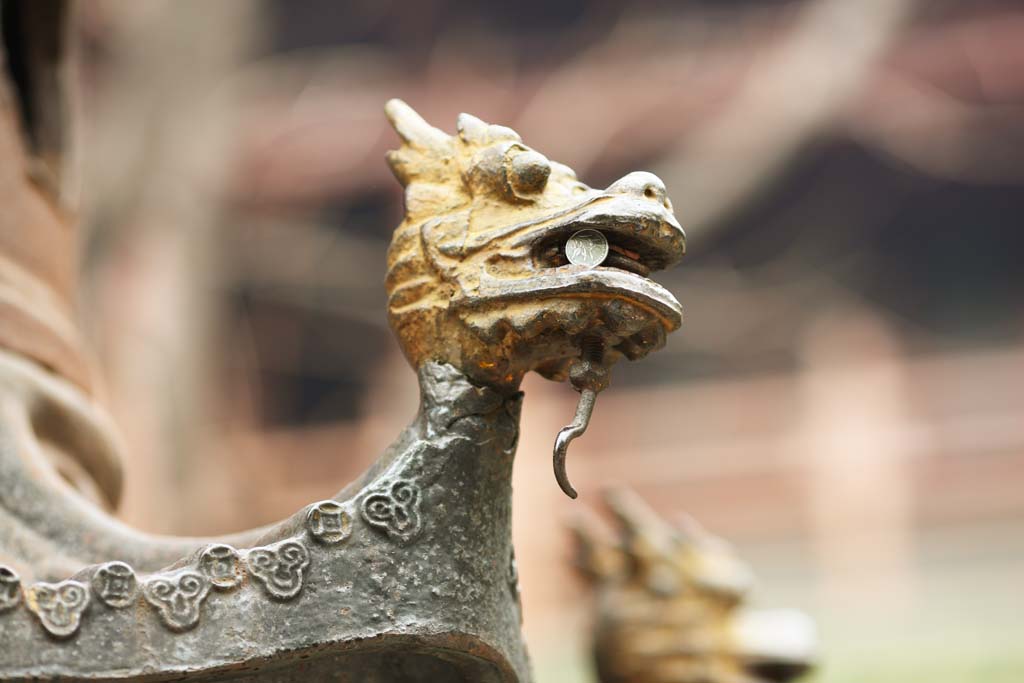 photo,material,free,landscape,picture,stock photo,Creative Commons,The image of the SixBanyanTreeTemple dragon, Chaitya, coin, Faith, tourist attraction