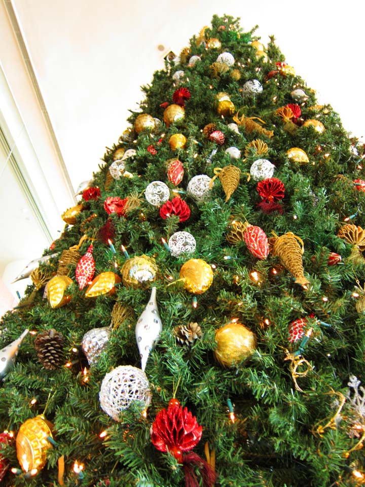 fotografia, materiale, libero il panorama, dipinga, fotografia di scorta,Un albero di Natale, Un ornamento, Natale, , 