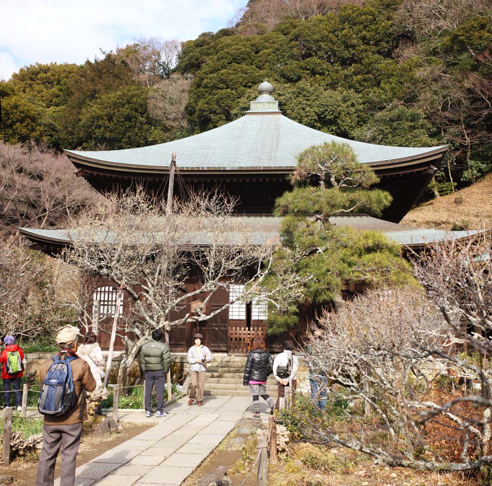 foto,tela,gratis,paisaje,fotografa,idea,Temple sanctum Buddhist de Zuisen - ji, Chaitya, Jardn Zen Budismo -like, Kamakura, Literatura de los cinco templos de Zen