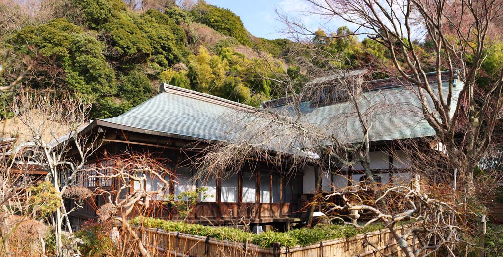 fotografia, materiale, libero il panorama, dipinga, fotografia di scorta,Studio di Tempio di Zuisen-ji, Chaitya, Zen Buddismo-come giardino, Kamakura, La letteratura dei cinque tempi Zen