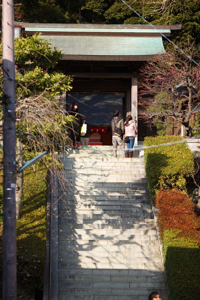 ,,, ,,, - shaShrine EgaraTenjin  .,  .,  ., Kamakura.,  Tenjin.