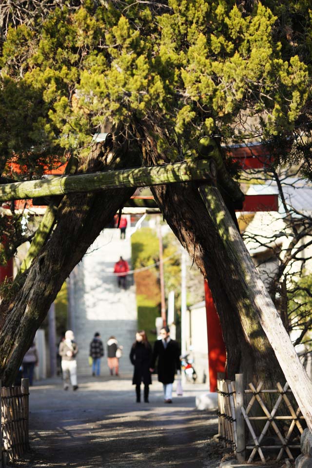 ,,, ,,, - shaShrine EgaraTenjin  .,  .,  ., Kamakura.,  Tenjin.