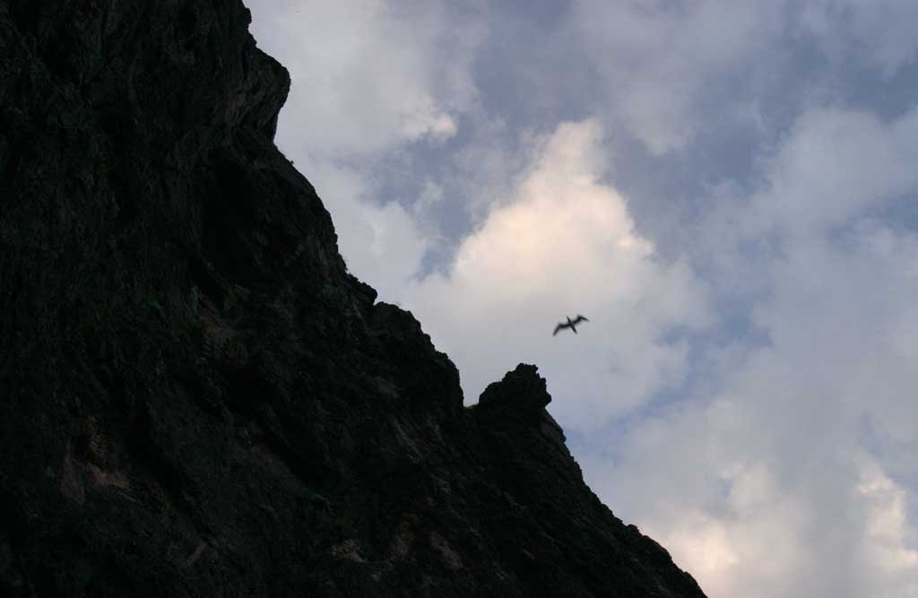 photo,material,free,landscape,picture,stock photo,Creative Commons,A kite above a cliff, cliff, kite, sky, cloud