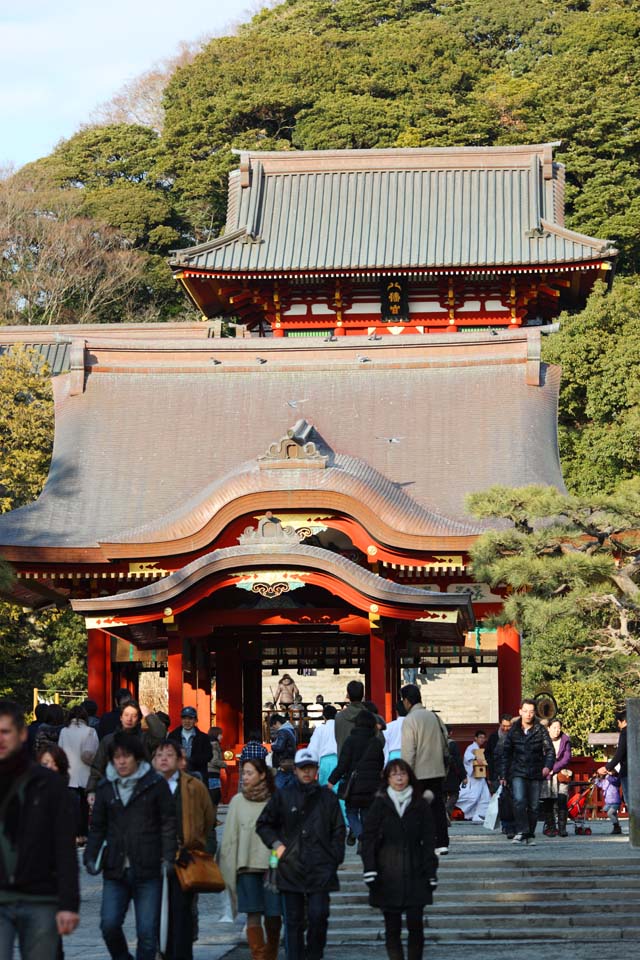 Foto, materiell, befreit, Landschaft, Bild, hat Foto auf Lager,Hachiman-gu Schrein, Kamakura, Hachiman-Schrein, Gebet, 