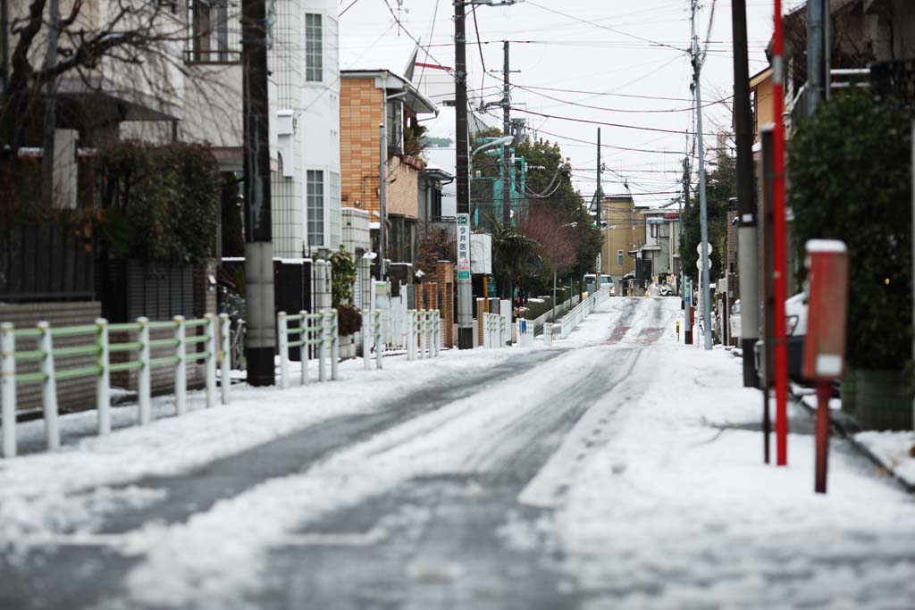 photo,material,free,landscape,picture,stock photo,Creative Commons,A snowy way, road, telephone pole, , 