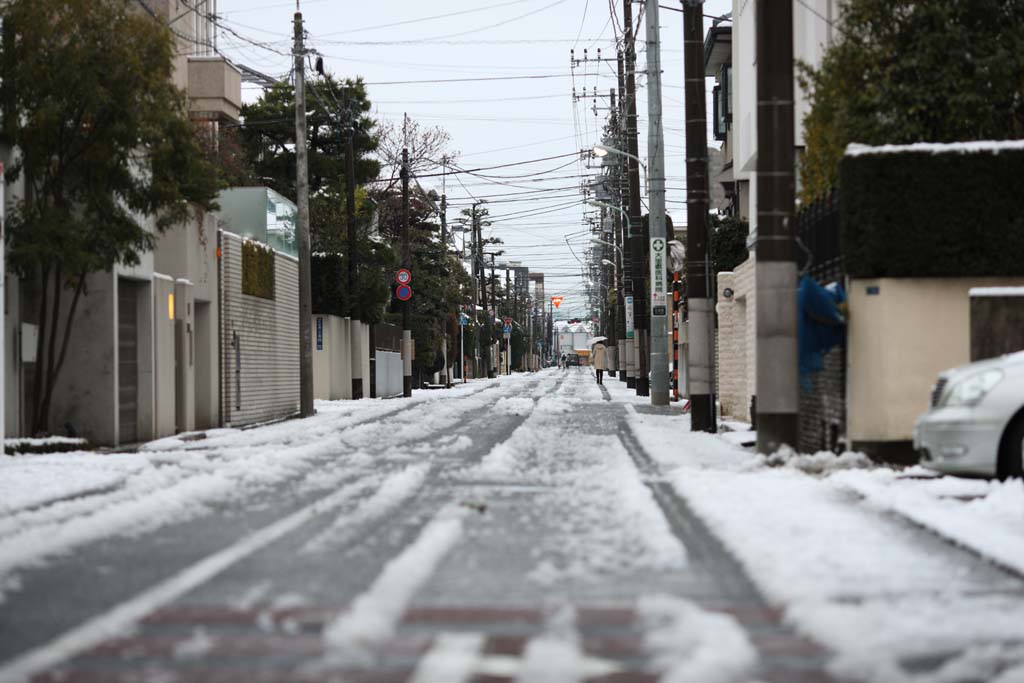 photo,material,free,landscape,picture,stock photo,Creative Commons,A snowy way, road, telephone pole, , 