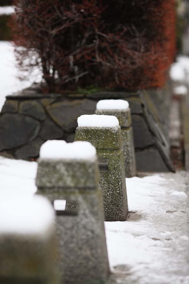 fotografia, material, livra, ajardine, imagine, proveja fotografia,Um parque nevado, Nenhuma rua para veculos, A neve, , 