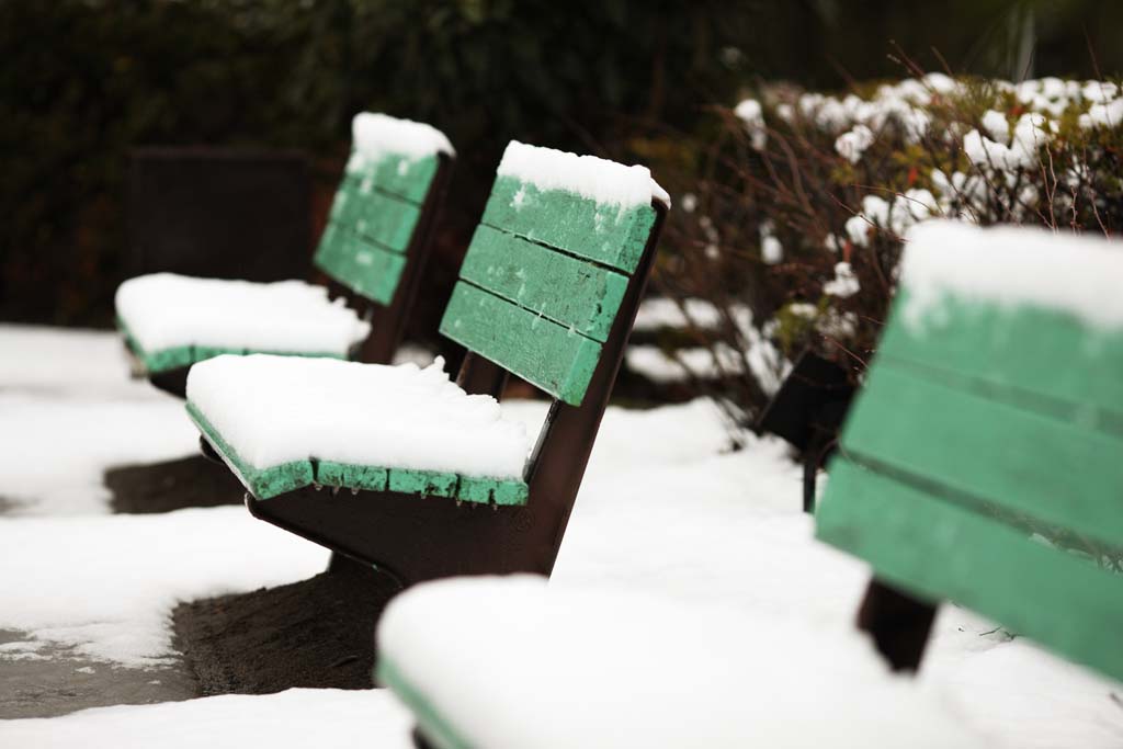 photo,material,free,landscape,picture,stock photo,Creative Commons,A snowy bench, chair, White, bench, 