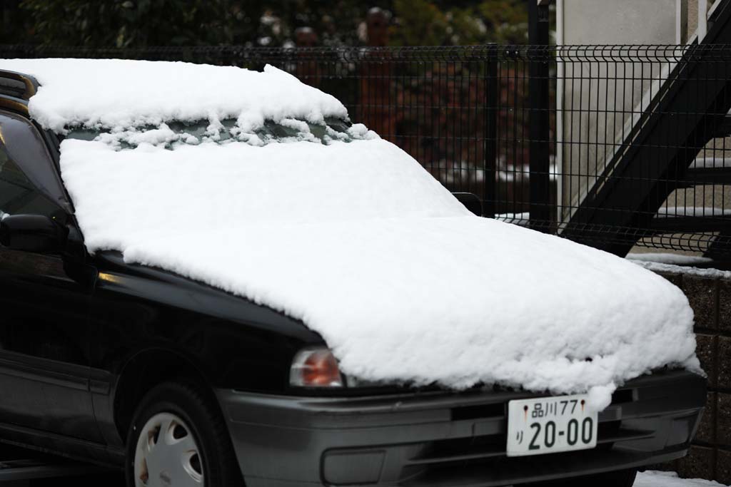 photo,material,free,landscape,picture,stock photo,Creative Commons,The snow of the car, windshield, The snow, , 