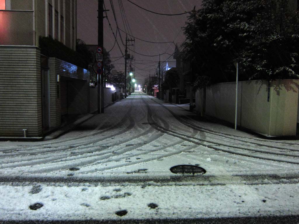 photo,material,free,landscape,picture,stock photo,Creative Commons,A snowy way, road, night view, , 