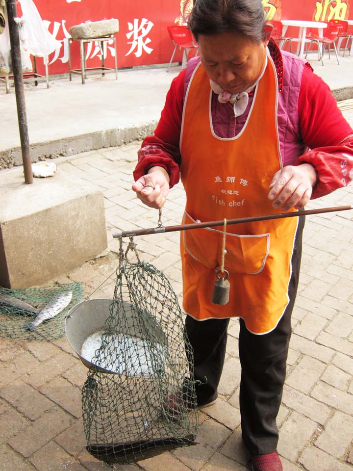 Foto, materiell, befreit, Landschaft, Bild, hat Foto auf Lager,Der Fisch des Fisches bewahrt, Kche, Die Waage, Netz, Fisch