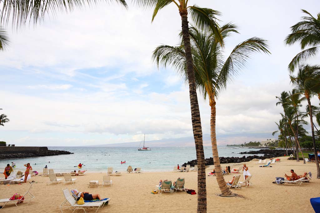 photo,material,free,landscape,picture,stock photo,Creative Commons,A private beach, sandy beach, palm tree, , yacht